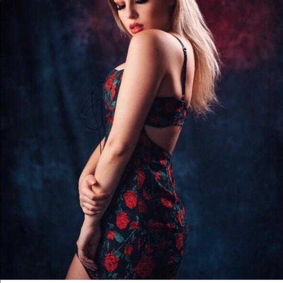 For Love & Lemons REVOLVE Rose brocade Floral Mesh pin dot corset dress XS - Picture 4 of 11